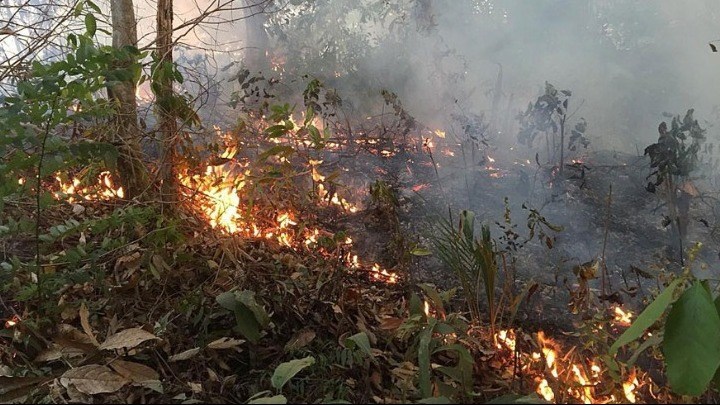 Στις φλόγες και πάλι ο Αμαζόνιος