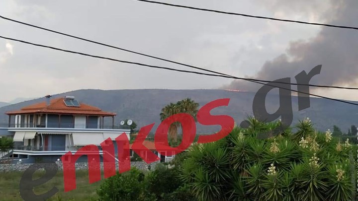 Σε ύφεση η φωτιά στο Ναύπλιο – ΦΩΤΟ αναγνώστη