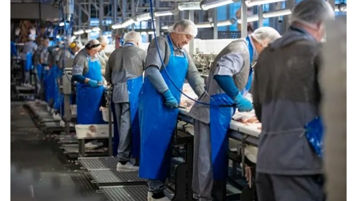 Κορονοϊός: Έκλεισε σφαγείο στη Δανία – Εντοπίστηκαν 142 κρούσματα