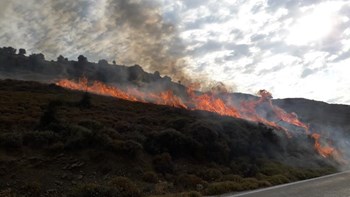 Λήμνος: Φωτιά από πετάμενο τσιγάρο – Μέχρι και ο Δήμαρχος έπιασε την μάνικα – ΦΩΤΟ