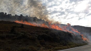 Λήμνος: Φωτιά από πετάμενο τσιγάρο – Μέχρι και ο Δήμαρχος έπιασε την μάνικα – ΦΩΤΟ