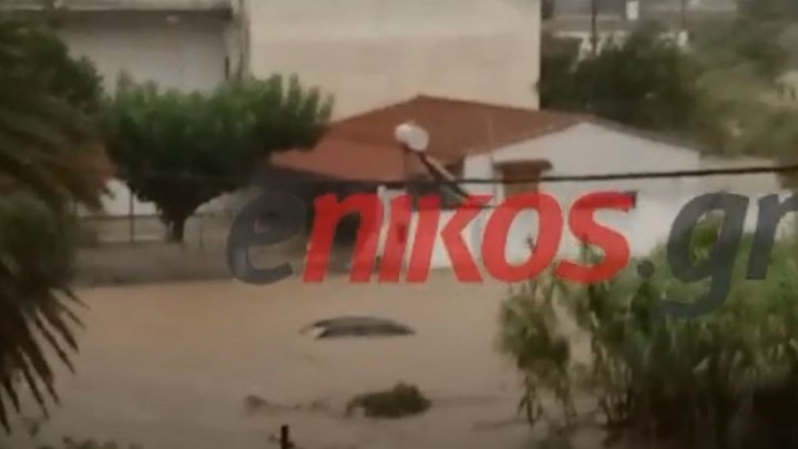 Κακοκαιρία Εύβοια: Σοβαρές καταστροφές στο Βασιλικό – Πλημμύρισαν σπίτια, αυτοκίνητα κατέληξαν στη θάλασσα