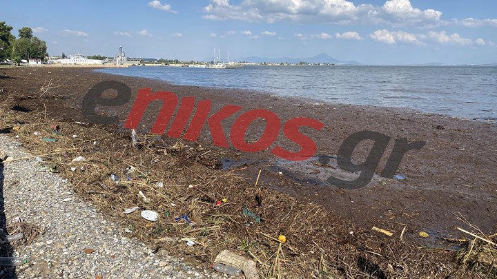 Η παραλία Ωρωπού έγινε… χωματερή λόγω Εύβοιας – ΦΩΤΟ αναγνώστη