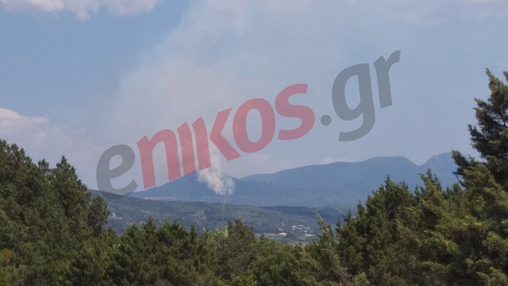 Φωτιά στη Μεσσηνία: Καίγεται δασική έκταση – ΦΩΤΟ αναγνώστη