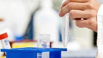 Κορονοϊός – Κρήτη: Τι έδειξαν τα τεστ στον δήμο Φαιστού