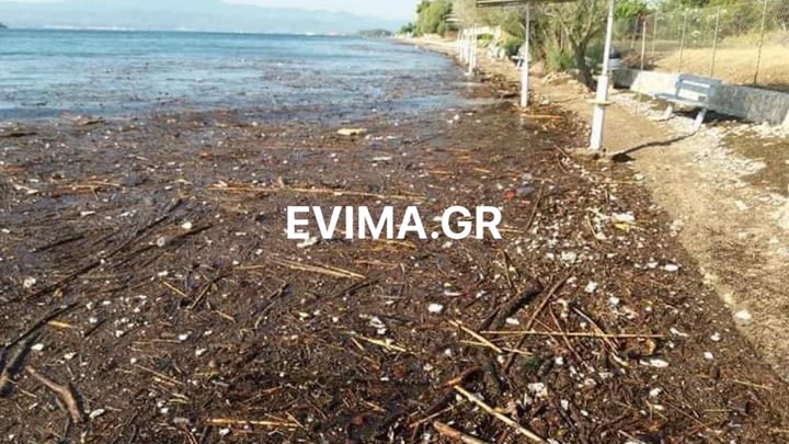 Εύβοια: Παραλίες στην Ερέτρια μοιάζουν με “βούρκους” – Γέμισαν φερτά υλικά – ΦΩΤΟ
