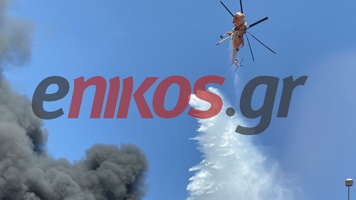 Φωτιά στη Μεταμόρφωση: Συνεχείς ρίψεις από τα ελικόπτερα – ΒΙΝΤΕΟ αναγνώστη