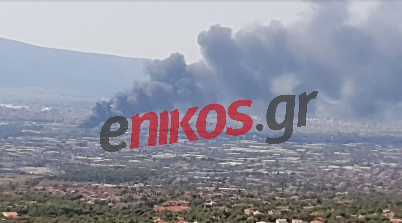 Φωτιά στη Μεταμόρφωση: Οι οδηγίες της Τροχαίας για την κυκλοφορία στην Ε.Ο. Αθηνών-Λαμίας