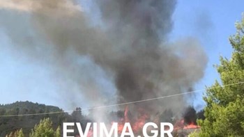 Μεγάλη φωτιά στις Ροβιές Ευβοίας – ΦΩΤΟ