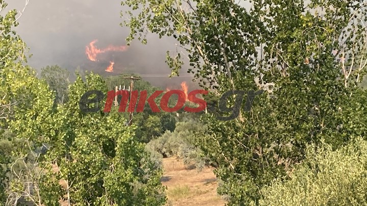 Εύβοια: Μαίνεται η φωτιά στις Ροβιές – ΒΙΝΤΕΟ και ΦΩΤΟ αναγνώστη