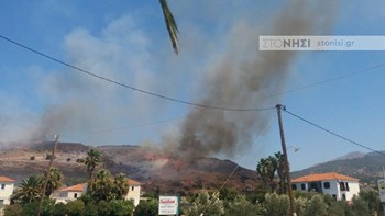 Σε εξέλιξη μεγάλη φωτιά στη Λέσβο – ΒΙΝΤΕΟ