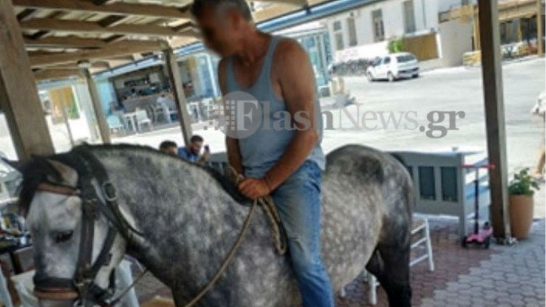 Κρήτη: Μπήκε στην καφετέρια με το άλογο – Γνωστή ηθοποιός τον φωτογράφισε – ΦΩΤΟ