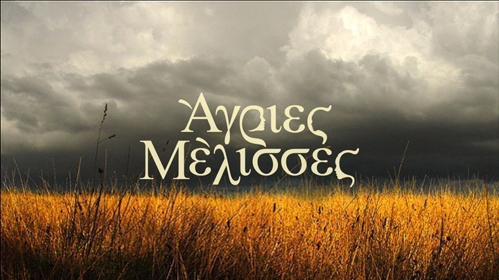 Οι Άγριες Μέλισσες πήγαν… παραλία – Οι διακοπές των πρωταγωνιστών της σειράς – ΦΩΤΟ – ΒΙΝΤΕΟ