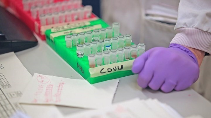 Κορονοϊός: Κύτταρα του ανοσοποιητικού έναντι του κοινού κρυολογήματος μπορεί να αναγνωρίζουν τον ιό