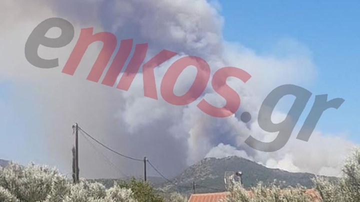 Φωτιά στη Μάνη: Καπνός έχει καλύψει τον ουρανό – Ισχυροί άνεμοι στην περιοχή – ΦΩΤΟ αναγνώστη