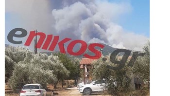 Μεγάλη φωτιά στη Μάνη: Η Πυροσβεστική εισηγήθηκε την εκκένωση τριών οικισμών