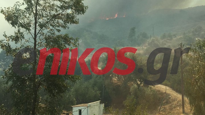 Νέες εικόνες από τη μεγάλη φωτιά στη Μάνη – ΦΩΤΟ αναγνώστη