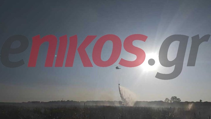 Οριοθετήθηκε η πυρκαγιά στο Μετόχι Αχαΐας – ΦΩΤΟ αναγνώστη