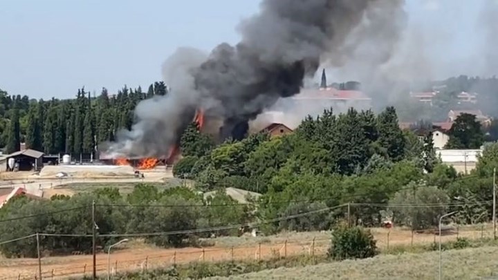 Θεσσαλονίκη: Φωτιά στην Αμερικάνικη Γεωργική Σχολή