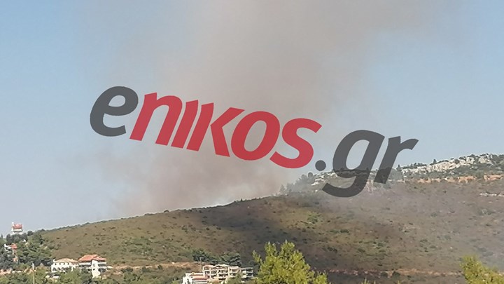 Φωτιά στη Ροδόπολη Αττικής – Οι πρώτες εικόνες – ΦΩΤΟ – ΒΙΝΤΕΟ αναγνώστη