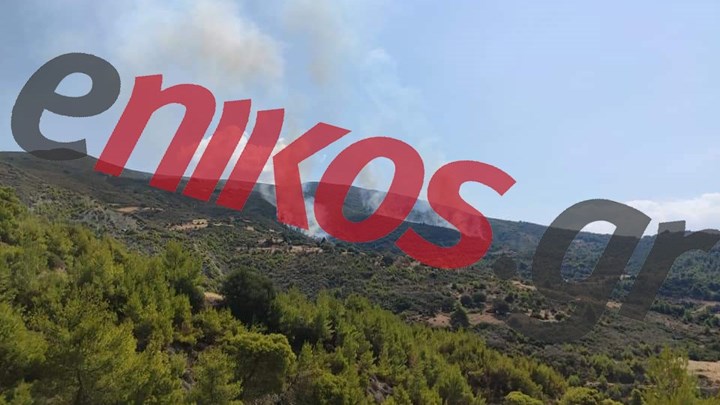 ΦΩΤΟ αναγνώστη από τη φωτιά στην Αχαΐα – Ενισχύονται οι δυνάμεις της Πυροσβεστικής
