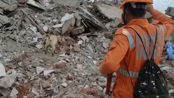 Ινδία: Παιδί 4 ετών ανασύρθηκε ζωντανό από τα συντρίμμια πολυκατοικίας που κατέρρευσε