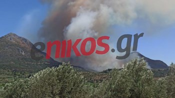 Συναγερμός για τη φωτιά στις Μυκήνες – ΦΩΤΟ αναγνώστη