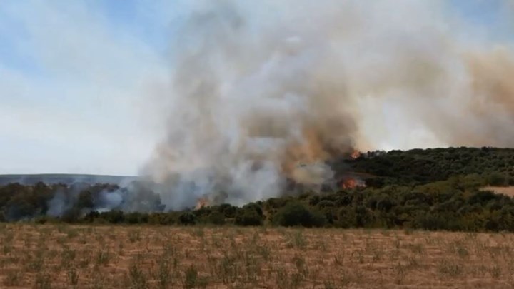 Φωτιά στην περιοχή Αγνάντια της Αλεξανδρούπολης – ΒΙΝΤΕΟ