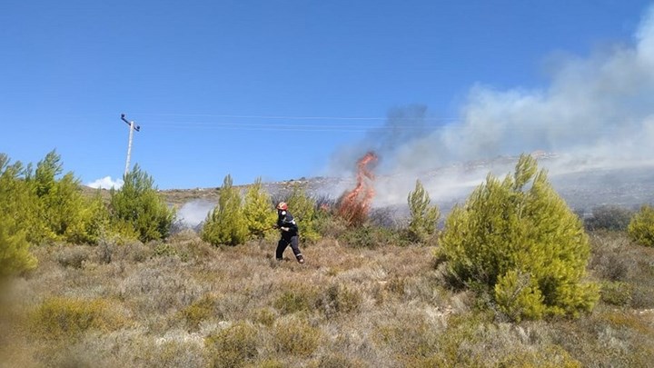 Μεγάλη φωτιά στην Κεφαλονιά – ΦΩΤΟ