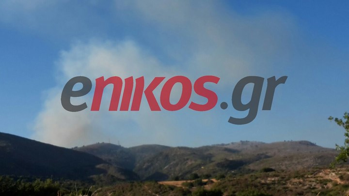 Νέα φωτιά στην Κεφαλονιά – ΦΩΤΟ αναγνώστη