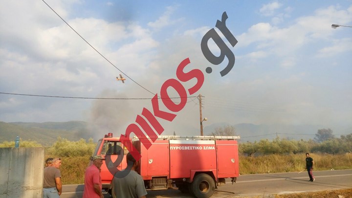 Σε εξέλιξη η φωτιά στη Μεσσηνία – ΦΩΤΟ αναγνώστη