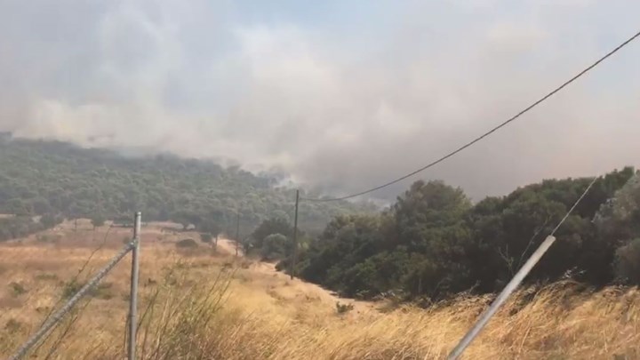 Φωτιά στα Καλύβια Αττικής: Εκκενώθηκαν οικισμός και οικοτροφείο