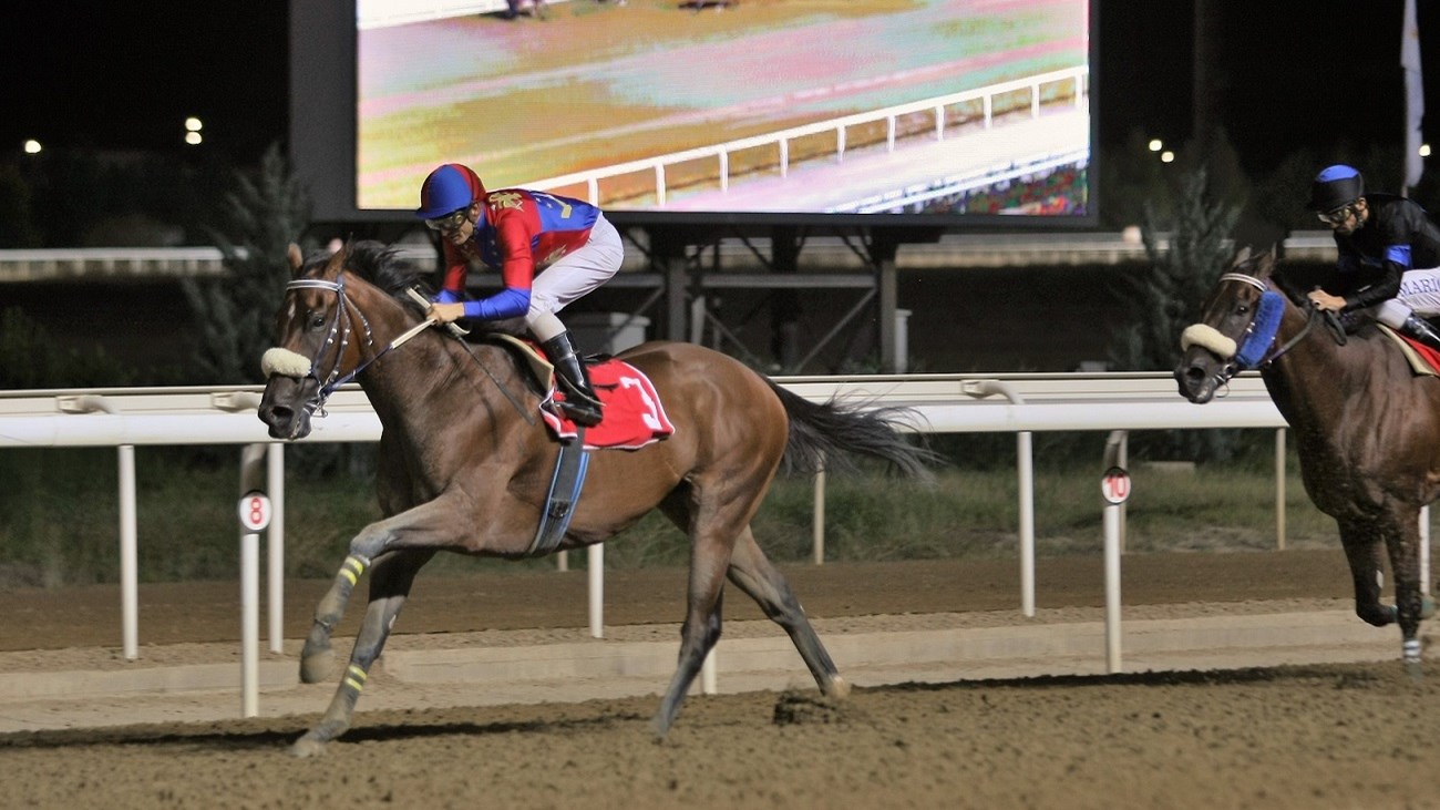 Δέκα νικητές στο ΣΚΟΡ 6 των ελληνικών ιπποδρομιών