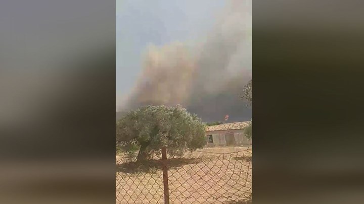 Φωτιά στα Καλύβια: Έχει πάρει ανεξέλεγκτες διαστάσεις – Πλησιάζει στην Ανάβυσσο – ΒΙΝΤΕΟ