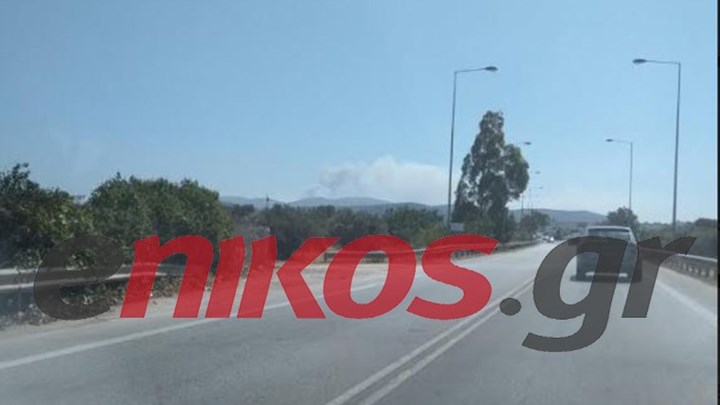 Μάχη με τις φλόγες στην Κερατέα – Κάηκαν σπίτια, εκκενώθηκαν οικισμοί – ΒΙΝΤΕΟ