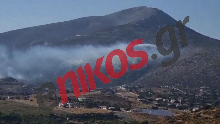 Μάχη με τις φλόγες στην Ανάβυσσο – ΒΙΝΤΕΟ αναγνώστη