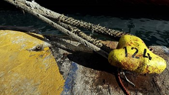 Λέσβος: Έφτασε το πλοίο που θα φιλοξενήσει 1.000 μετανάστες από το ΚΥΤ Μόριας