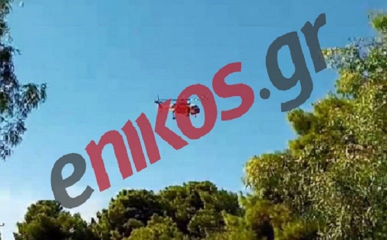 Φωτιά ανάμεσα σε Ραφήνα και Αρτέμιδα: Πληροφορίες για 3 τραυματίες – Νέες εικόνες – ΒΙΝΤΕΟ αναγνώστη