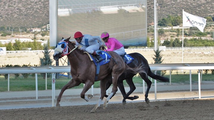 Markopoulo Park: Έντεκα καθαρόαιμοι ίπποι διεκδικούν το Κριτήριο Τριετών