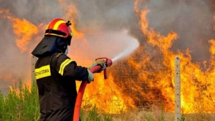 Φωτιά στο Δίστομο Βοιωτίας