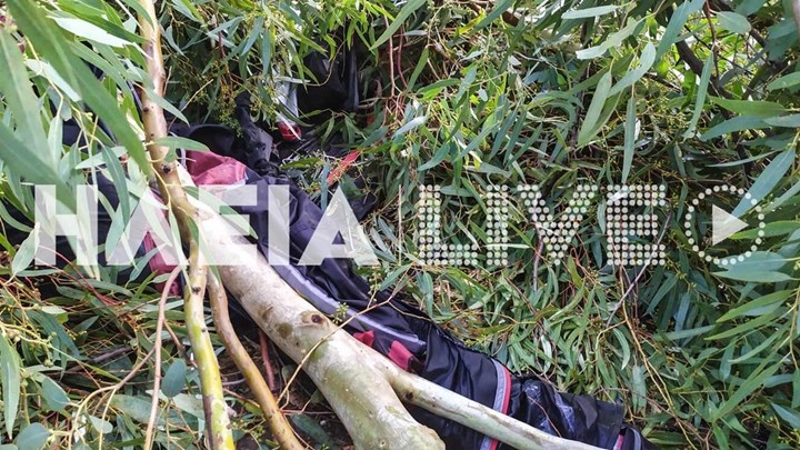 Ανεμοστρόβιλος στο Γιαννιτσοχώρι: Αγγλίδα τουρίστρια τραυματίστηκε από πτώση δέντρου σε κάμπινγκ – ΦΩΤΟ