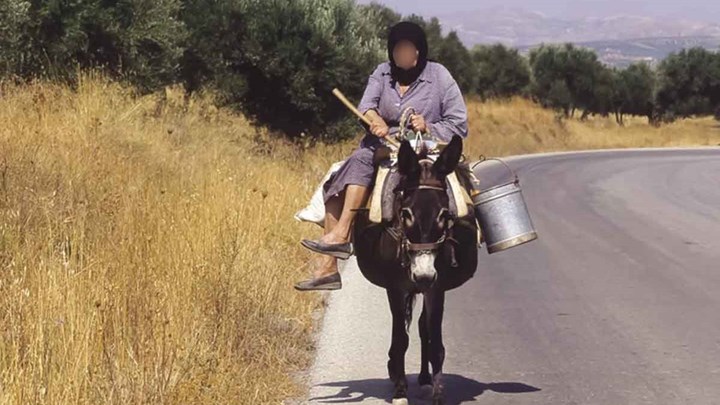 Καρπενήσι: Στο εδώλιο 80χρονη γιατί δεν είχε κόψει τα νύχια στο γαϊδούρι της