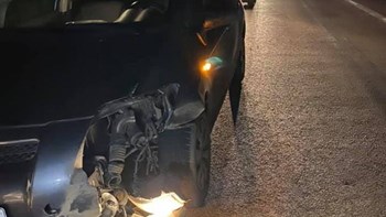 Σοβαρό τροχαίο στη Φθιώτιδα: Αυτοκίνητο συγκρούστηκε με κοπάδι αγριογούρουνων – ΦΩΤΟ