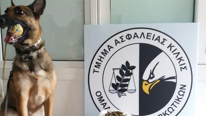 Κατερίνη: Έβγαλε… λαβράκι η “Minnie” σε οικόπεδο