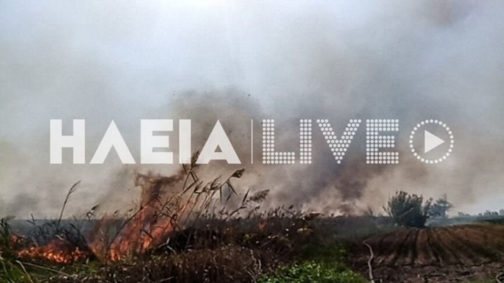 Μεγάλη φωτιά στη Μανωλάδα – ΦΩΤΟ