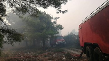 Σε εξέλιξη η μεγάλη φωτιά στις Βολίμες Ζακύνθου – Ενισχύονται οι πυροσβεστικές δυνάμεις – ΦΩΤΟ