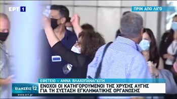 Δίκη Χρυσής Αυγής – Μάγδα Φύσσα: Ο Παύλος τα κατάφερε… Γιε μου