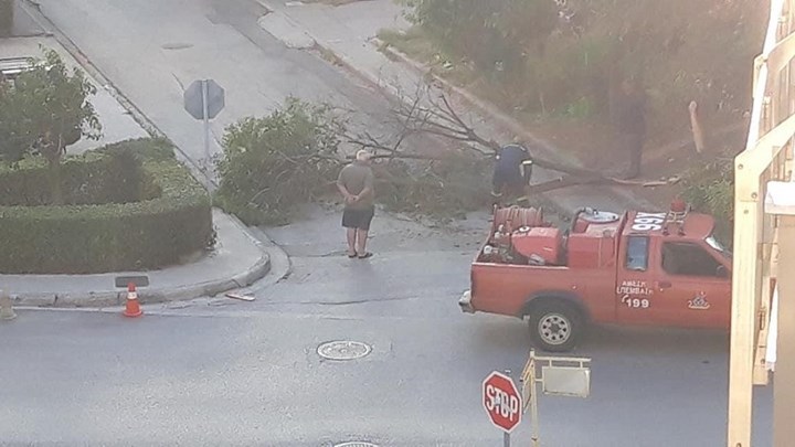 Ισχυροί άνεμοι στη Θεσσαλονίκη – Πτώσεις δέντρων και ζημιές σε αυτοκίνητα