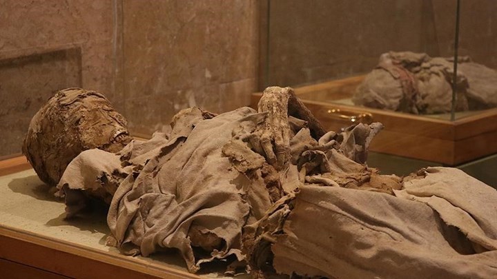 Το άλυτο μυστήριο με την ξανθιά καλόγρια – Τα τέσσερα θαμμένα παιδιά δίπλα της