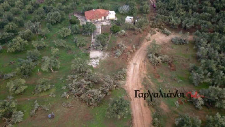 Μεσσηνία: Ανεμοστρόβιλος έκοψε στη μέση ελιές και «σήκωσε» σκεπές στους Γαργαλιάνους – ΒΙΝΤΕΟ